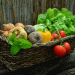 French Organic Retail Sector Set for Continued Growth in 2024 Despite Challenges