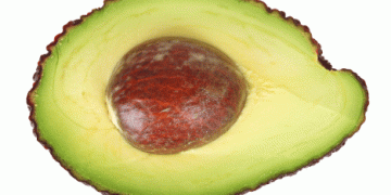 Spain’s “Aguacates CV” Label: Revolutionizing the Avocado Market with Local Freshness and Sustainability