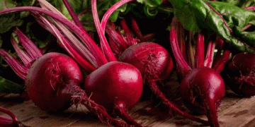 Belarus Implements Export Licensing for Cabbage, Apples, Onions, and Beets