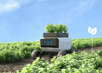 Innovative Use of Natural Mineral-Based Fertilizers to Enhance Soil Fertility and Crop Yield