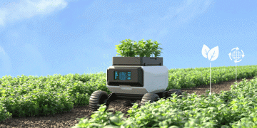 Innovative Use of Natural Mineral-Based Fertilizers to Enhance Soil Fertility and Crop Yield
