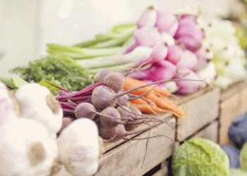 Austria’s Organic Agriculture: Sustaining Growth Amidst Economic Challenges