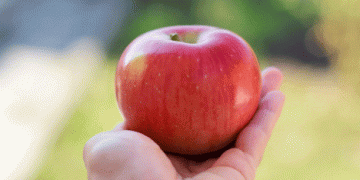 Southern Hemisphere Apple Production Set to Rise by 5.5% in 2025