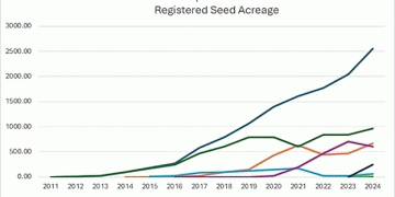 Collaborative Innovations in Potato Breeding: The National Chip Program’s Impact on the Industry