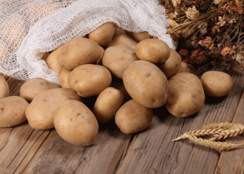Uzbekistan’s Strategic Plan to Achieve Potato Self-Sufficiency by 2027