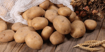 Uzbekistan’s Strategic Plan to Achieve Potato Self-Sufficiency by 2027