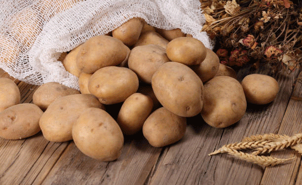 Uzbekistan’s Strategic Plan to Achieve Potato Self-Sufficiency by 2027