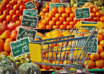 Lidl’s Fruit and Vegetable Sales in Germany Surge by 8.4% in 2024