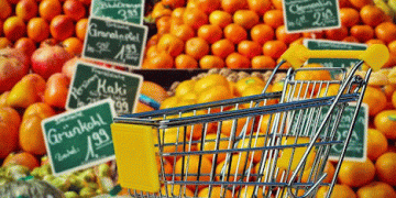 Lidl’s Fruit and Vegetable Sales in Germany Surge by 8.4% in 2024