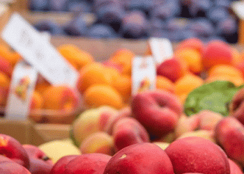 Germany’s Inflation Eases to 2.3% in January 2025: Implications for the Agricultural Sector