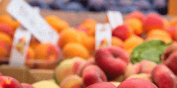 Germany’s Inflation Eases to 2.3% in January 2025: Implications for the Agricultural Sector