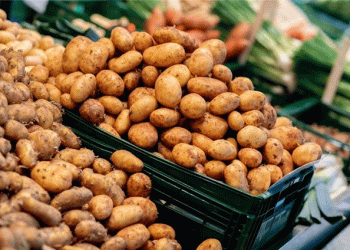 The Resurgence of the Potato: A Culinary and Cultural Revival