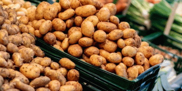 The Resurgence of the Potato: A Culinary and Cultural Revival