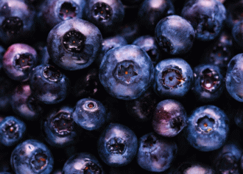 Blueberry Consumption Soars in Italy: 8 Million Households Now Enjoy the Superfruit