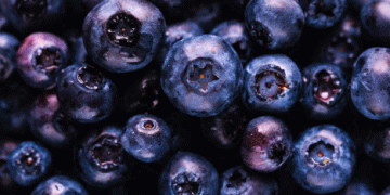 Blueberry Consumption Soars in Italy: 8 Million Households Now Enjoy the Superfruit