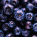 Blueberry Consumption Soars in Italy: 8 Million Households Now Enjoy the Superfruit