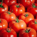 Spain’s Tomato Market in 2024: A 100% Price Increase from Farm to Consumer