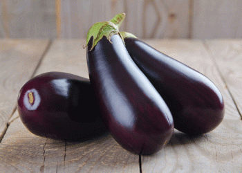Murgiverde’s Commitment to Organic Farming: A Model for Sustainable Eggplant Production​