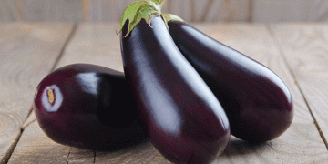 Murgiverde’s Commitment to Organic Farming: A Model for Sustainable Eggplant Production​