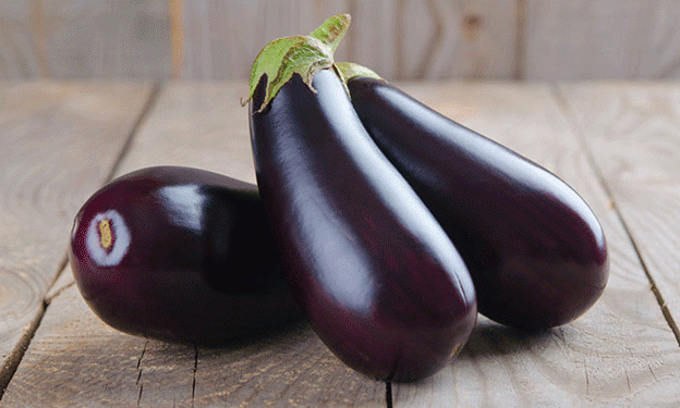 Murgiverde’s Commitment to Organic Farming: A Model for Sustainable Eggplant Production