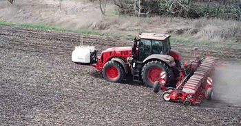 Kuban Farmers Bet on Domestic Sugar Beet Hybrids — Yield, Savings, and Sovereignty