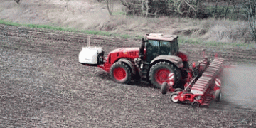 Kuban Farmers Bet on Domestic Sugar Beet Hybrids — Yield, Savings, and Sovereignty