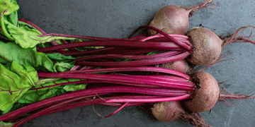 Modern Trends in Selection: Top Beet Varieties for Successful Farming