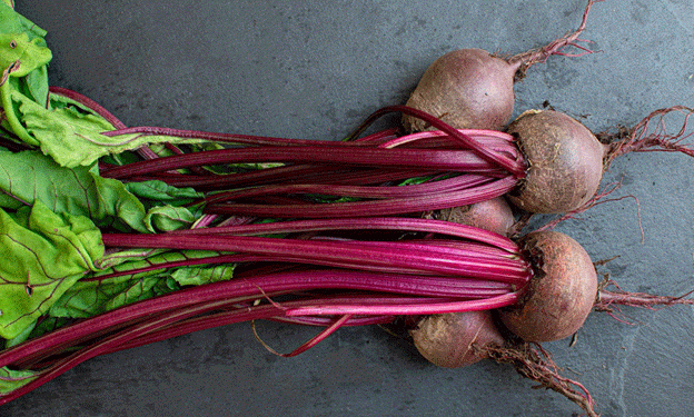Modern Trends in Selection: Top Beet Varieties for Successful Farming