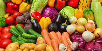Spain Strengthens Its Position as a Global Agri-Food Export Leader with 9.7% Trade Surplus Growth