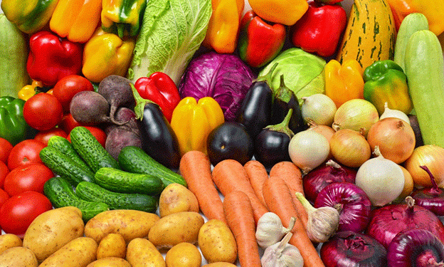 Spain Strengthens Its Position as a Global Agri-Food Export Leader with 9.7% Trade Surplus Growth