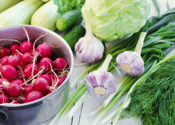 Is Sustainability Becoming a Luxury? German Consumers Shift Priorities Amid Economic Pressure
