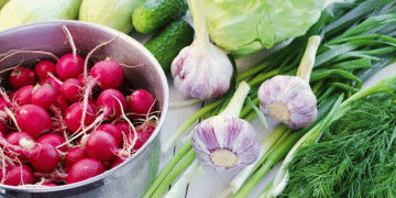 Is Sustainability Becoming a Luxury? German Consumers Shift Priorities Amid Economic Pressure