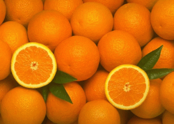 Peruvian Orange Exports Experience Sharp Decline in Early 2025