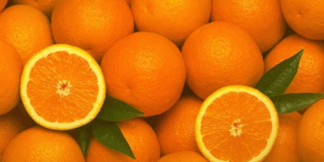 Peruvian Orange Exports Experience Sharp Decline in Early 2025