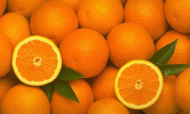 Peruvian Orange Exports Experience Sharp Decline in Early 2025