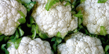 Escalating Production Costs Challenge Spanish Cauliflower Farmers​