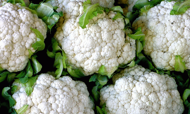 Escalating Production Costs Challenge Spanish Cauliflower Farmers​