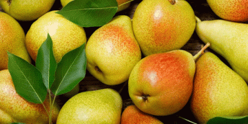 Navigating Challenges in European Pear Markets: The Impact of Overseas Imports​