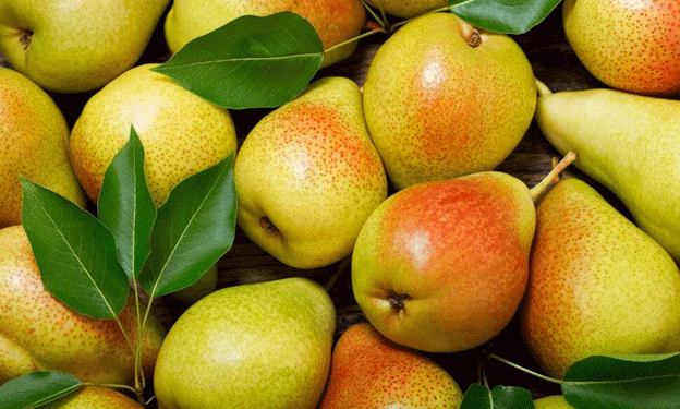 Navigating Challenges in European Pear Markets: The Impact of Overseas Imports​