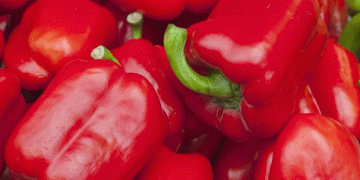European Bell Pepper Market Faces Supply Shortages Amidst Adverse Weather Conditions