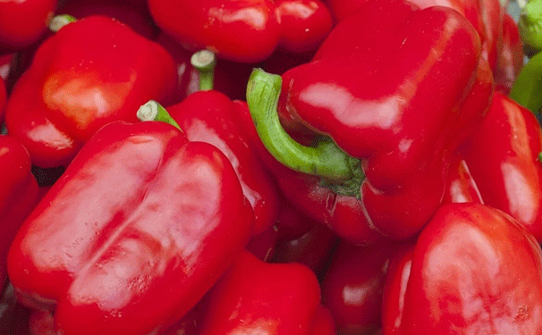European Bell Pepper Market Faces Supply Shortages Amidst Adverse Weather Conditions
