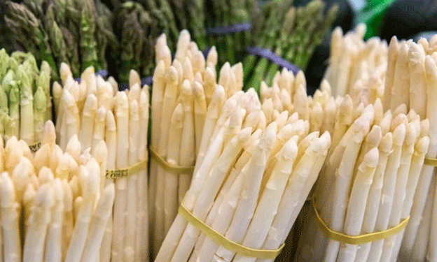 Asparagus Season Begins: The First Spears of “White Gold” Hit the Market