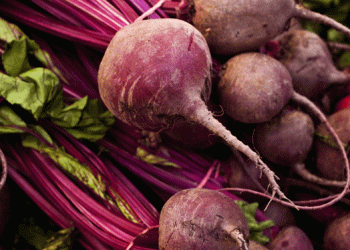 Weathering the Storm: How One Organic Farm Thrives Amid Market Pressures and Climate Extremes