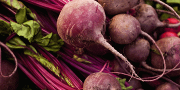 Weathering the Storm: How One Organic Farm Thrives Amid Market Pressures and Climate Extremes