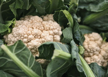 Why Cauliflower Is Getting Pricier: Spain’s Farmlands Are Turning to Dust