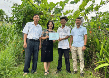 From Mountains to Markets: How Japanese Farming Methods Are Fueling a Safe Vegetable Revolution in Sơn La