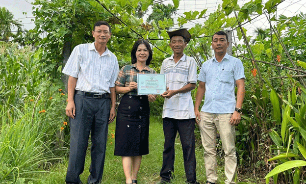 From Mountains to Markets: How Japanese Farming Methods Are Fueling a Safe Vegetable Revolution in Sơn La