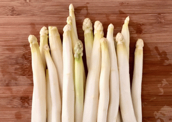 Swiss Asparagus in Spring: Rising Yields, Local Flavor, and a Growing Market