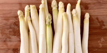 Swiss Asparagus in Spring: Rising Yields, Local Flavor, and a Growing Market