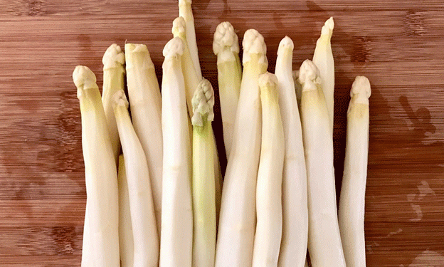 Swiss Asparagus in Spring: Rising Yields, Local Flavor, and a Growing Market